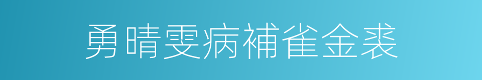 勇晴雯病補雀金裘的同義詞