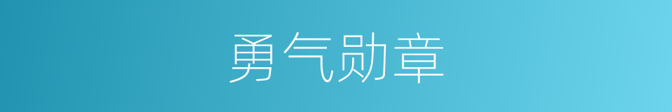勇气勋章的同义词