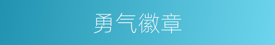勇气徽章的同义词
