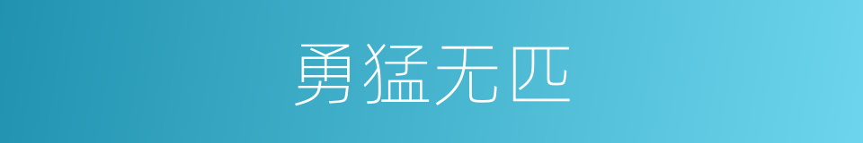 勇猛无匹的意思