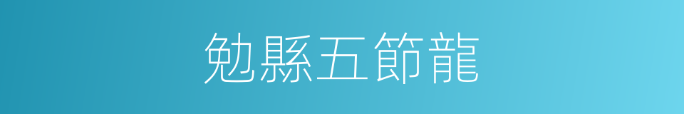 勉縣五節龍的同義詞