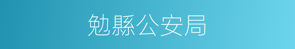 勉縣公安局的同義詞