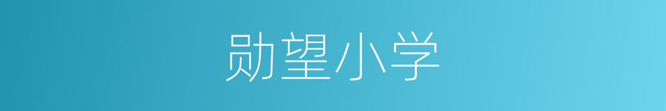 勋望小学的同义词
