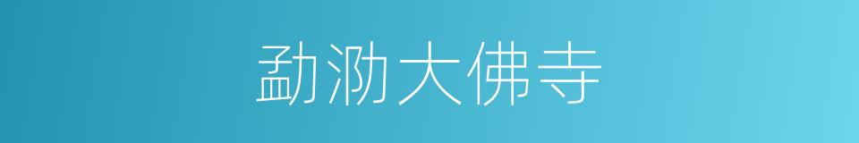 勐泐大佛寺的同义词