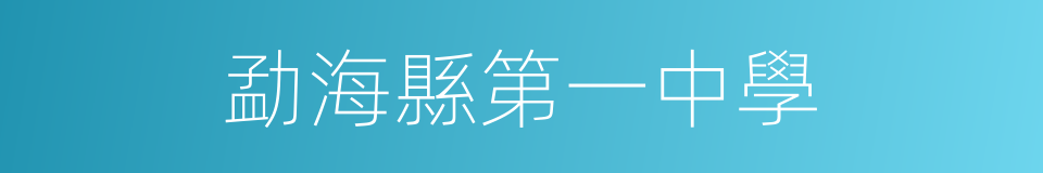 勐海縣第一中學的同義詞
