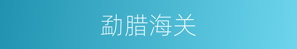 勐腊海关的同义词