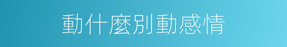 動什麼別動感情的同義詞