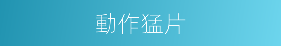 動作猛片的同義詞