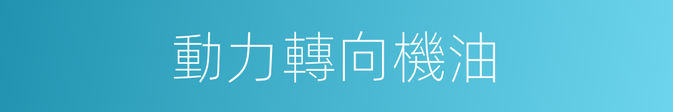 動力轉向機油的同義詞