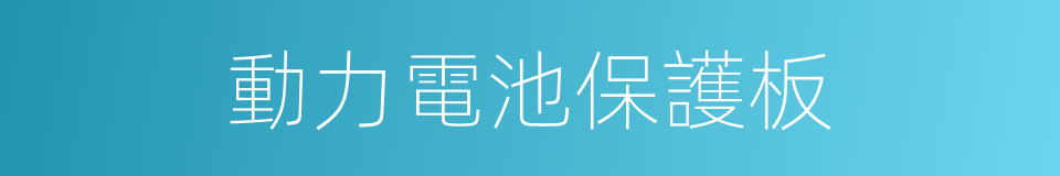動力電池保護板的同義詞