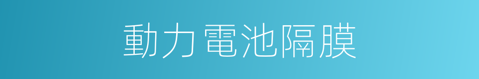 動力電池隔膜的同義詞