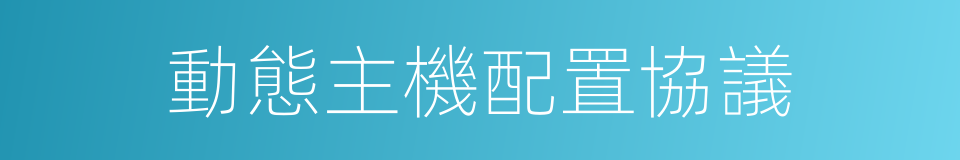 動態主機配置協議的同義詞
