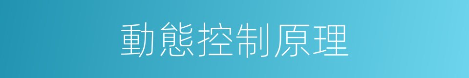 動態控制原理的同義詞
