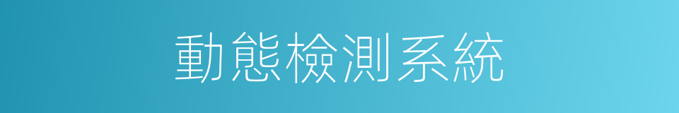 動態檢測系統的同義詞