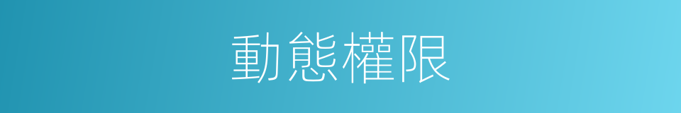 動態權限的同義詞