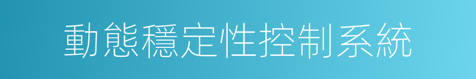 動態穩定性控制系統的同義詞