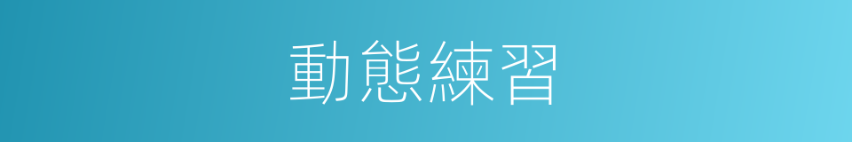 動態練習的同義詞