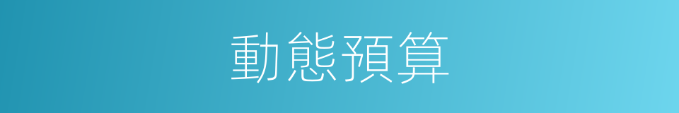 動態預算的同義詞