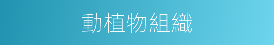 動植物組織的同義詞