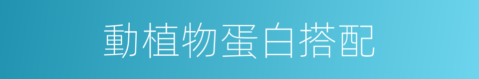 動植物蛋白搭配的同義詞