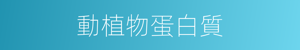 動植物蛋白質的同義詞
