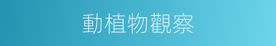 動植物觀察的同義詞