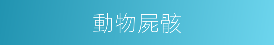 動物屍骸的同義詞
