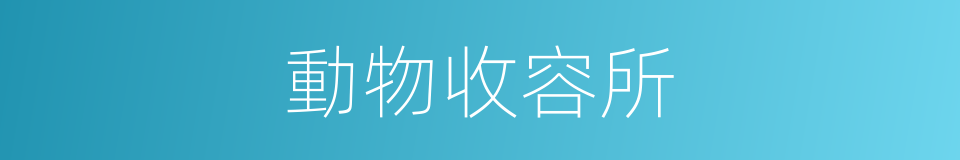 動物收容所的同義詞