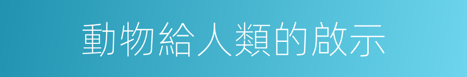 動物給人類的啟示的同義詞