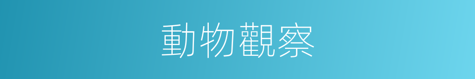 動物觀察的同義詞