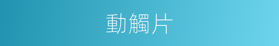 動觸片的同義詞