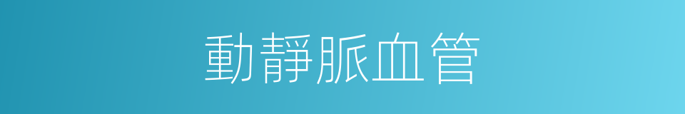 動靜脈血管的同義詞