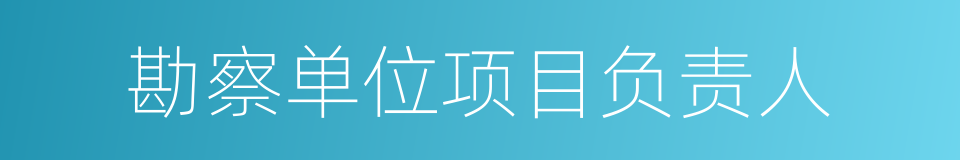 勘察单位项目负责人的同义词