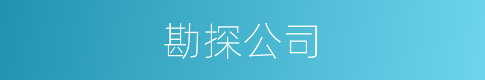 勘探公司的同义词