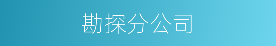 勘探分公司的同义词