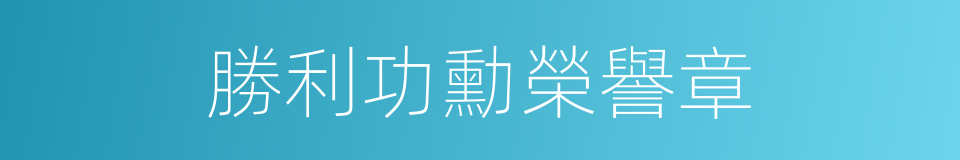 勝利功勳榮譽章的意思