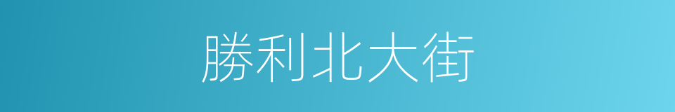 勝利北大街的同義詞