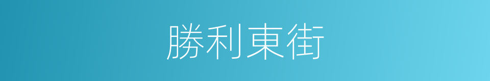 勝利東街的意思