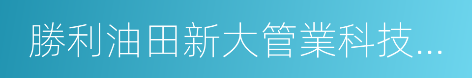 勝利油田新大管業科技發展有限責任公司的同義詞