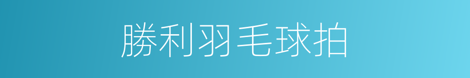 勝利羽毛球拍的同義詞