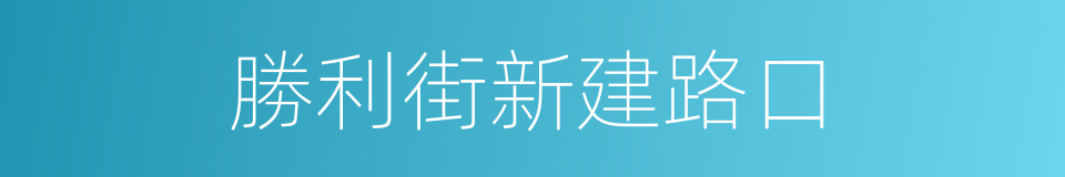 勝利街新建路口的同義詞