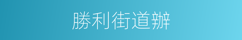 勝利街道辦的同義詞