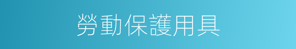 勞動保護用具的同義詞