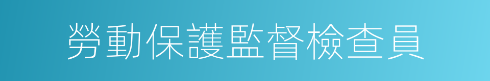 勞動保護監督檢查員的同義詞