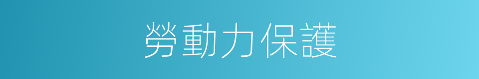 勞動力保護的同義詞