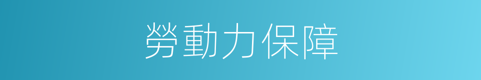 勞動力保障的同義詞