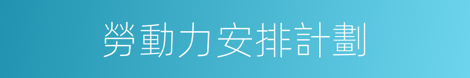 勞動力安排計劃的同義詞