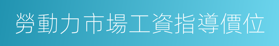 勞動力市場工資指導價位的同義詞