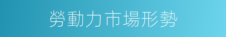 勞動力市場形勢的同義詞