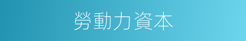 勞動力資本的同義詞